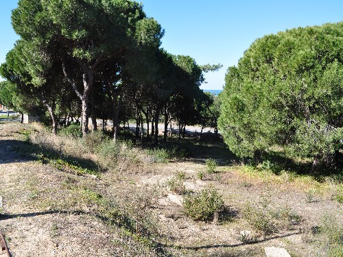 Fantastic Located Plot in Vale do Lobo. - 2