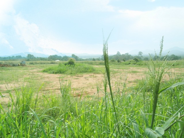 Land Plot adjacent to Phoenix Golf..