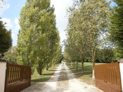 Extremely Well Renovated Property With.. - 2