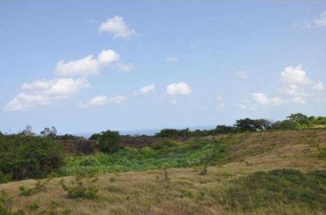 Property For Sale: Applegrove Estate.. - 2