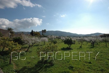 Plot - Capdella