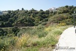- Property - Malaga - For Sale - 2