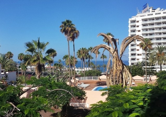 Apartment, Acapulco Complex, Playa Las..