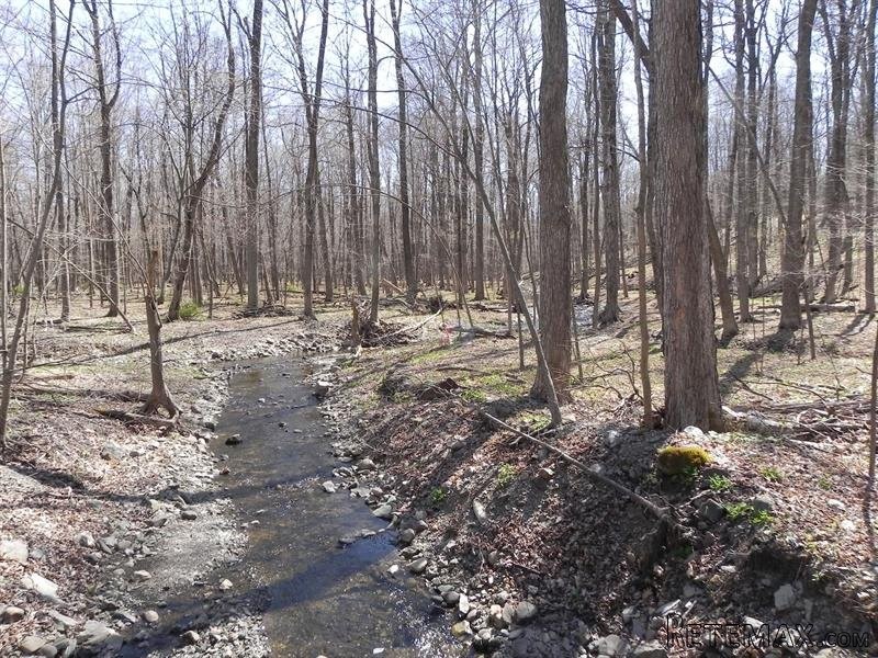 Land For Sale: Milan Hill Rd Red Hook.. - 2