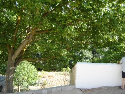 Townhouse - 2