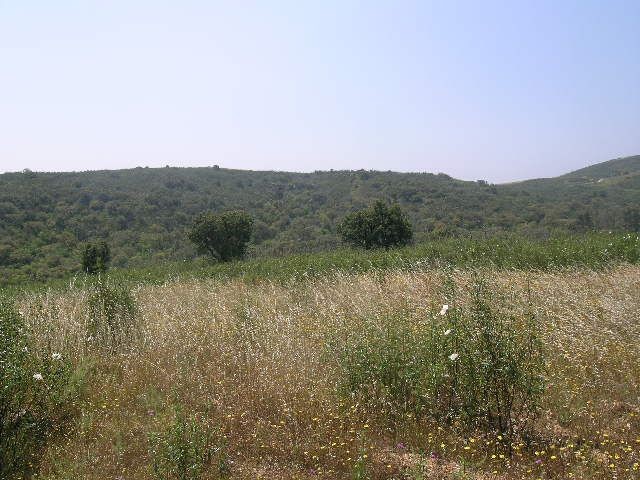 Apartment - Algarve - For Sale