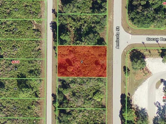 Land For Sale: 10149 Amicola St, Port..