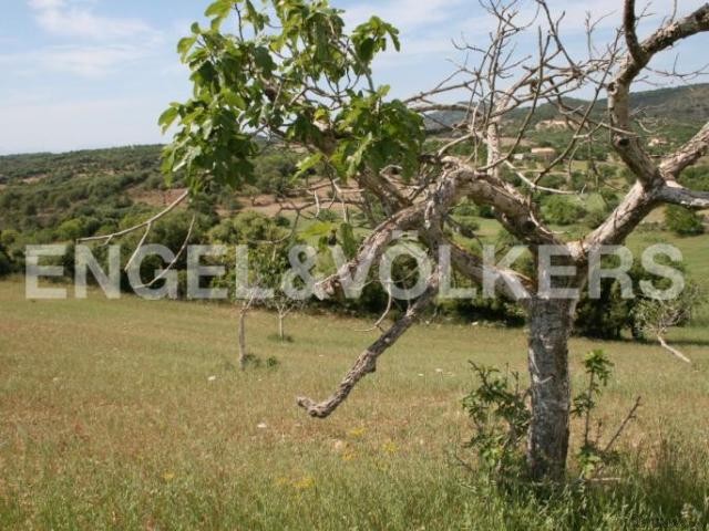 Plot of land with fantastic views of.. - 2
