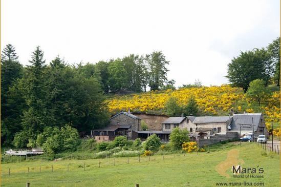 Western Reithotel in Sudfrankreich zu..
