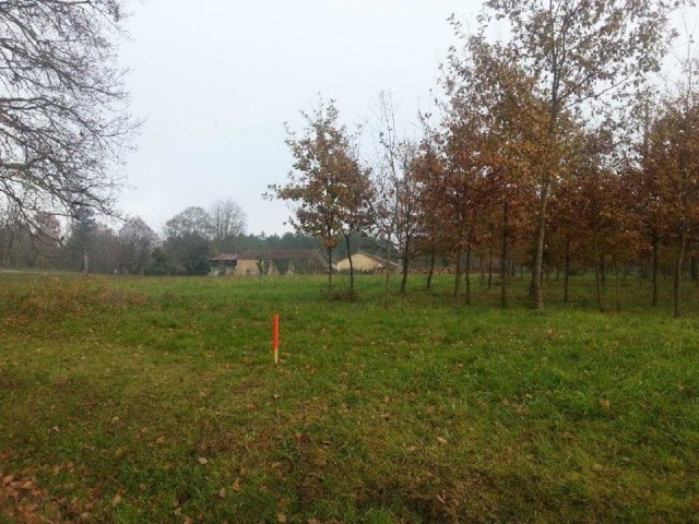 25306 - Vente - Terrain - Vergt