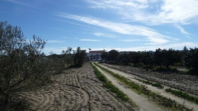 Finca Farm - Awaiting further details.. - 2