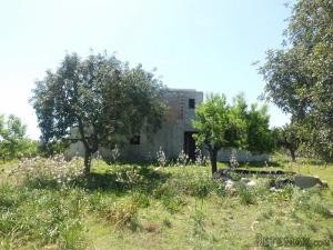 Mallorca, Artà, finca in construction.. - 2