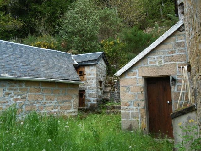 Near Rempnat, Haute Vienne, Limousin - 2