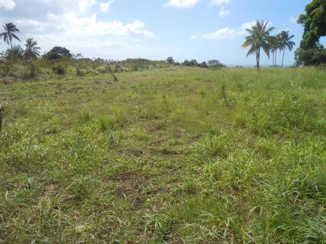 Property For Sale: Christie Village..