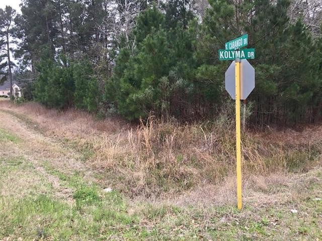 Land For Sale: 19313 Cabango Dr Porter.. - 2