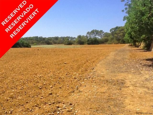 *RESERVED* Wonderful large building..