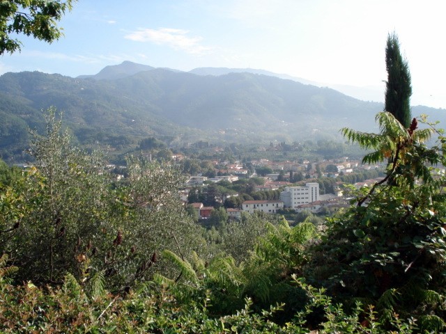 Villa - For Sale - Hills around Lucca -.. - 2