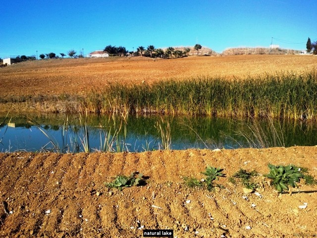 Finca for sale in Cartama, Malaga, Spain - 2