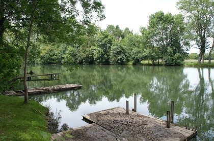 Great plot of mature, enclosed land on.. - 2
