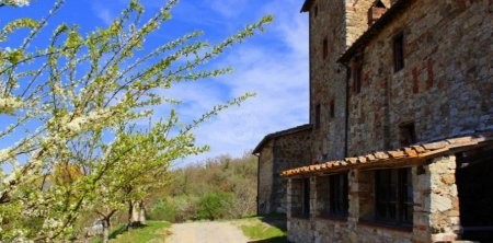 Podere In Chianti - 2