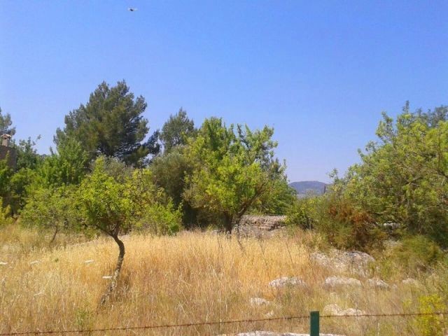 1 Bedroom - Finca - Islas Baleares -.. - 2