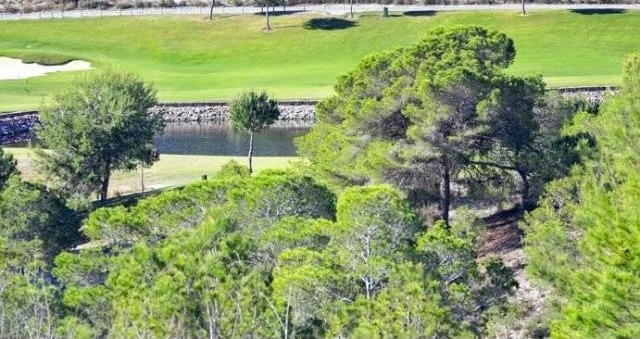Plots for sale in Campoamor