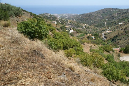 Plot for Sale in Torrox, Torrox 95.000..