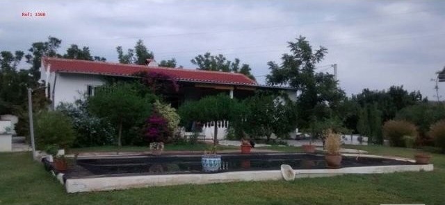Villa - Country house of 3200m2 flat..