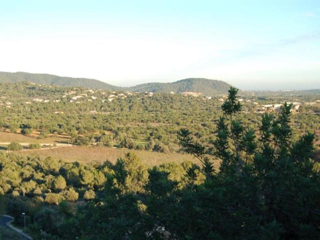 Marvellous plot in the area of Bunyola