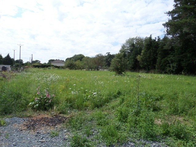 87 - Haute-Vienne - 2