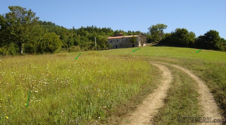 Istra – 12.233 m² prostrano zemljište, mirna lokacija - 6
