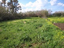 Land For Sale In Crete