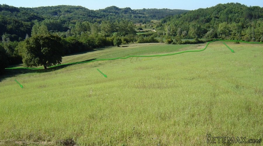 Istra – 12.233 m² prostrano zemljište, mirna lokacija - 12