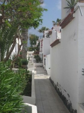 Chayofita, Costa del Silencio.. - 2