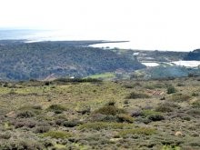 Development Land For Sale In.. - 2