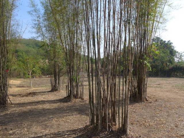 Plot of land with panoramic sea views.. - 2