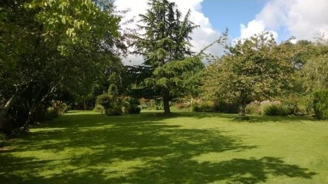 (jardinmagi) - 2