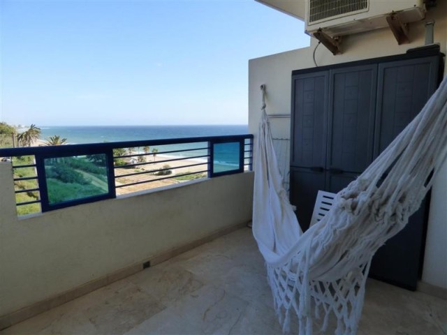 Apartment - Beautiful 1 bed /1 bath.. - 2