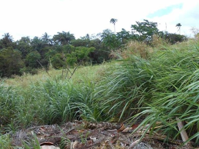 Property For Sale: Mount Wilton,Lot 30..