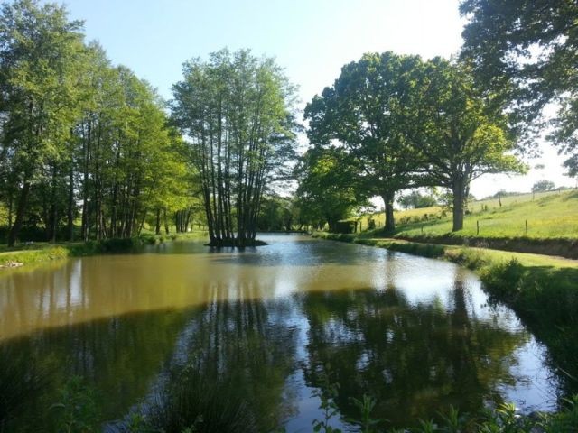 Property With Lake - 2