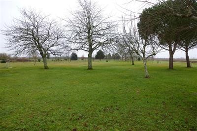 Site