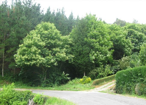 2 Bed Detached House For Sale 2 861 Sq... - 2