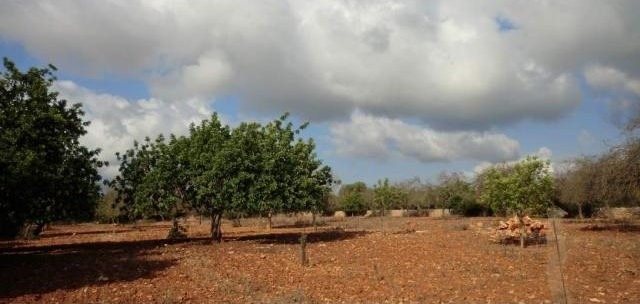 Plot with 15.000m2 with two adjacent.. - 2
