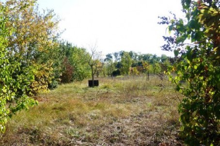 Stone House For Sale St Jean D Angely - 2
