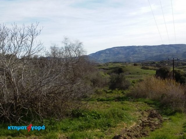 Residential Land in Polemi, Pafos