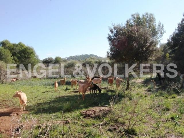 Plot with fantastic views of the..