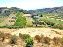 Crete Investment - Suitable For..