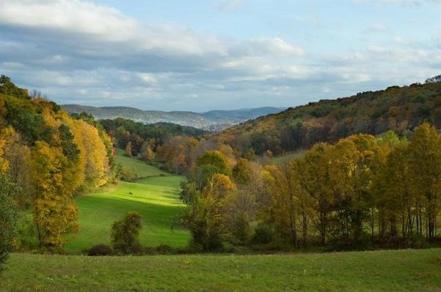 Land For Sale: Washington, New York - 2