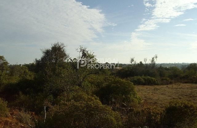 Great Plot of land - 2