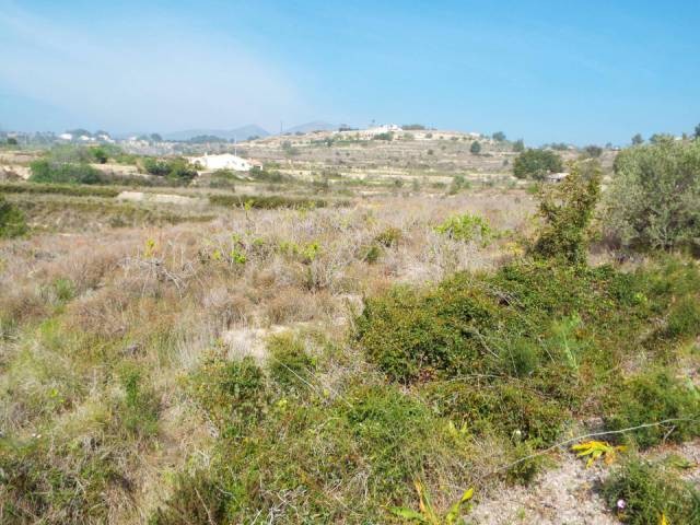 South facing villa plot of 10.000m2 in.. - 2